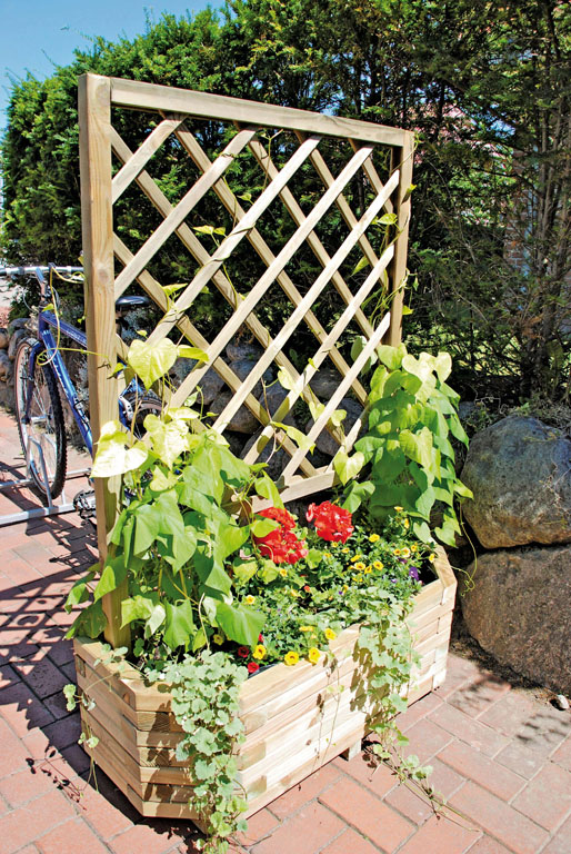 Ambiente mit HORST Rankgitter 